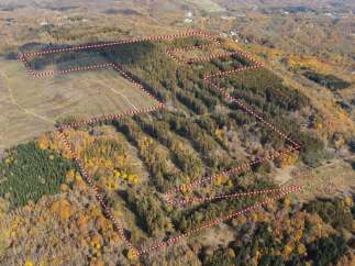 Explore this expansive wooded property, perfect for development or recreational use.