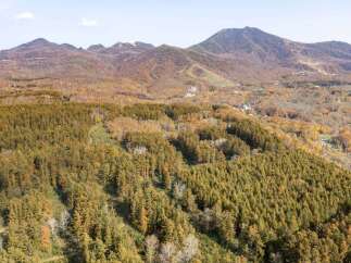 Experience the beauty of autumn from this elevated vantage point, showcasing a vibrant tapestry of fall foliage blanketing the rolling hills.