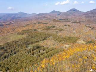 Experience the breathtaking beauty of autumn from this elevated vantage point, showcasing rolling hills blanketed in vibrant fall foliage.