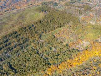 Discover this stunning aerial view of a vast forest landscape during peak autumn foliage.