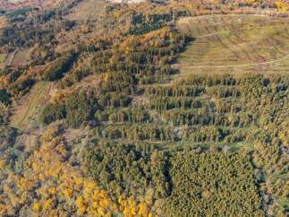 Discover this stunning aerial view of a vast forested landscape, showcasing the vibrant autumn foliage in warm hues of orange and yellow.