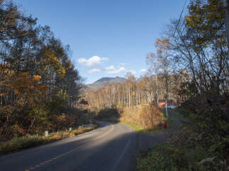 Discover the serene beauty of this autumn landscape, perfect for a tranquil retreat or a scenic drive.