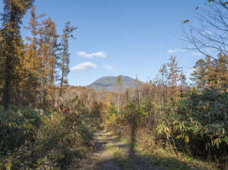 Discover the serene beauty of autumn with this stunning landscape featuring a dirt path winding through vibrant fall foliage.