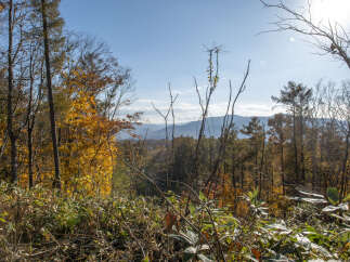 Experience the breathtaking beauty of autumn from this stunning vantage point.