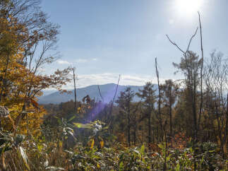 Experience the breathtaking beauty of autumn from this stunning vantage point.
