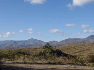 Discover this expansive undeveloped land, perfect for your dream home or investment.