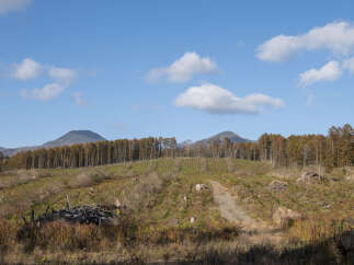 Discover this expansive rural landscape, perfect for agricultural development or a private retreat.