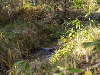 Discover a tranquil retreat with this charming property, featuring a serene stream winding through lush greenery.