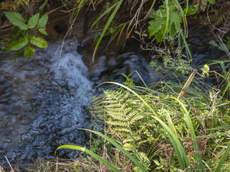 Discover a serene natural setting perfect for a peaceful retreat.