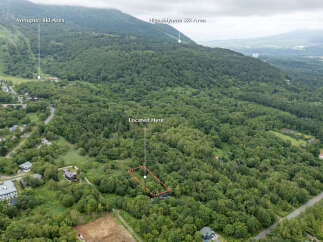 Discover your dream retreat nestled amidst lush greenery, offering unparalleled tranquility and natural beauty.