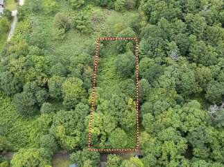 Discover this prime parcel of land, nestled within a lush, wooded landscape.