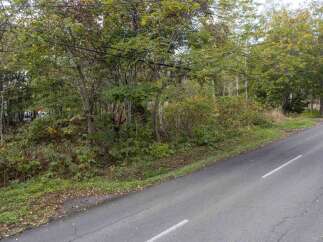 Discover a serene natural setting perfect for your dream home or a peaceful retreat.