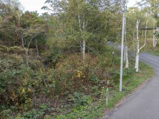 Discover this charming property nestled amidst lush greenery and mature trees, offering a serene and private setting.