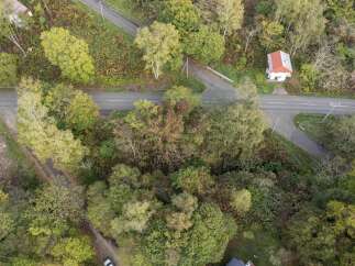 Discover this charming property nestled amidst a vibrant autumn forest, offering a serene escape.