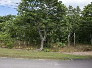 Discover this serene property nestled amongst mature trees, offering a tranquil escape.