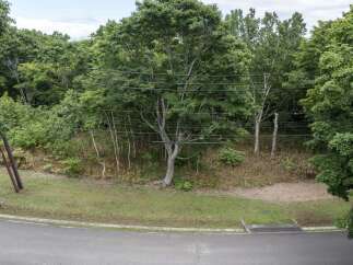 Discover a serene natural setting perfect for your dream home.