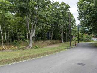 Discover this charming property nestled amidst lush greenery and mature trees, offering a serene and private retreat.