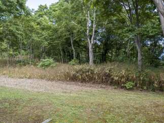 Discover a serene natural setting perfect for your dream home.