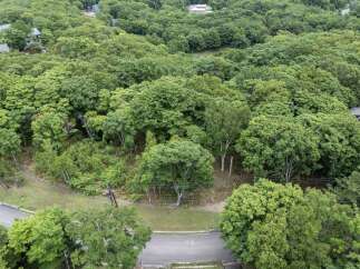 Discover this stunning property nestled amidst a lush, mature forest, offering unparalleled privacy and tranquility.