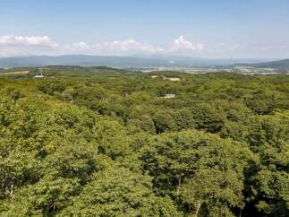 Discover a serene escape with this stunning aerial view of rolling green hills and lush forests.