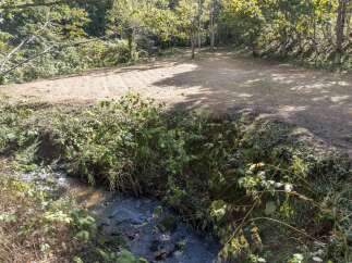 Discover a serene natural setting with a gently flowing creek and lush greenery, perfect for outdoor enthusiasts.