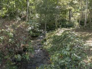 Discover a serene natural escape with this property, featuring a charming stream flowing through lush greenery.