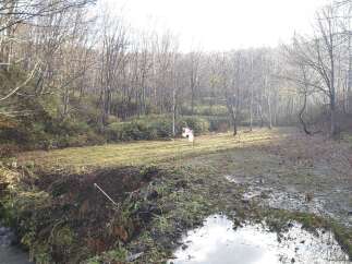 Discover this serene natural landscape, perfect for outdoor enthusiasts and those seeking tranquility.