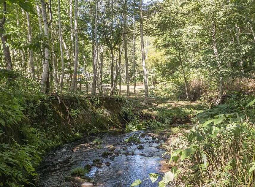 Discover a serene escape with this charming property, nestled amidst a lush, verdant forest.