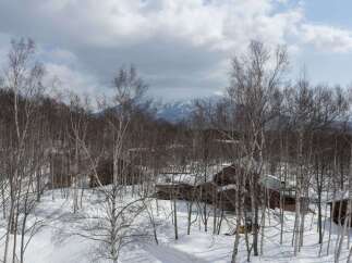 Discover this charming winter retreat nestled amongst snow-covered trees, offering a serene escape with rustic wooden cabins.