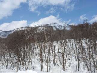 Experience the serene beauty of a winter wonderland with this stunning mountain property.