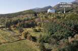 Discover a prime real estate opportunity nestled amidst the natural beauty of Furano.