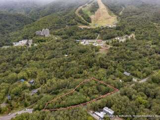 Discover this expansive wooded lot, perfect for building your dream home or a private retreat.