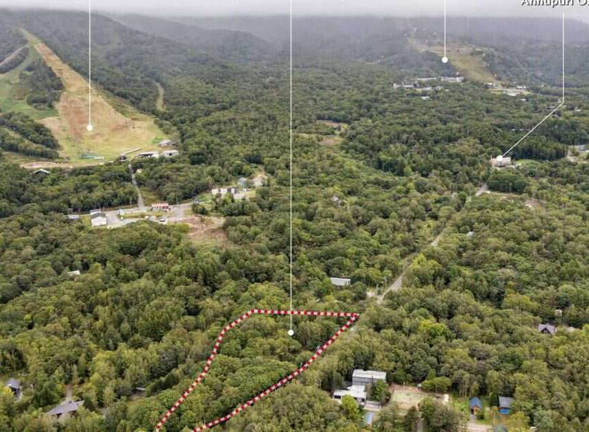 Discover this prime real estate opportunity nestled amidst lush greenery, offering a serene escape with potential for development.