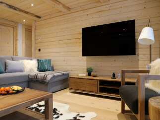 Experience cozy living in this modern mountain retreat, featuring a spacious sectional sofa adorned with stylish throw pillows and a plush blanket.
