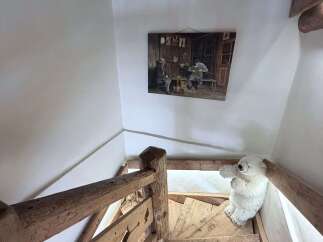 Ascend this charming spiral staircase, featuring rustic wooden steps and a handcrafted railing, leading to an upper level.