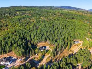 Discover your private oasis nestled within a vast, mature forest.