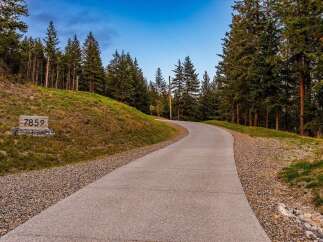 Discover this stunning property with a beautifully paved driveway leading through a serene, wooded landscape.