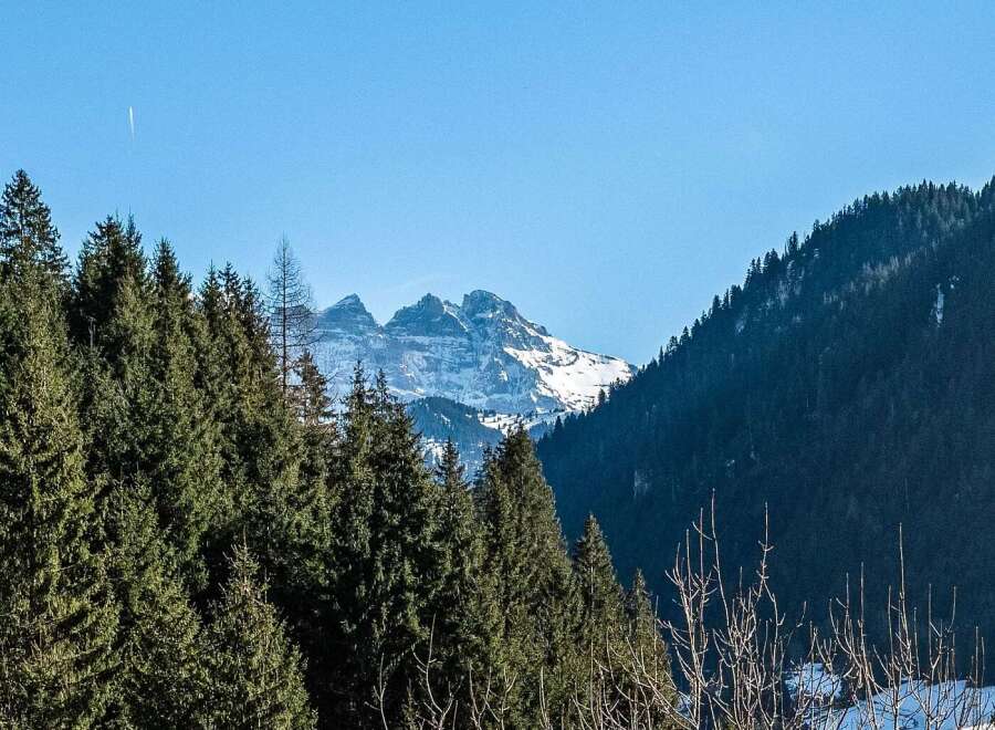 Experience breathtaking mountain views from this stunning property, nestled amidst a serene forest landscape.