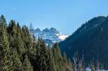 Experience breathtaking mountain views from this stunning property, nestled amidst a serene forest landscape.