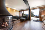 Experience cozy mountain living in this charming living room, featuring a modern fireplace and warm wood-paneled walls.
