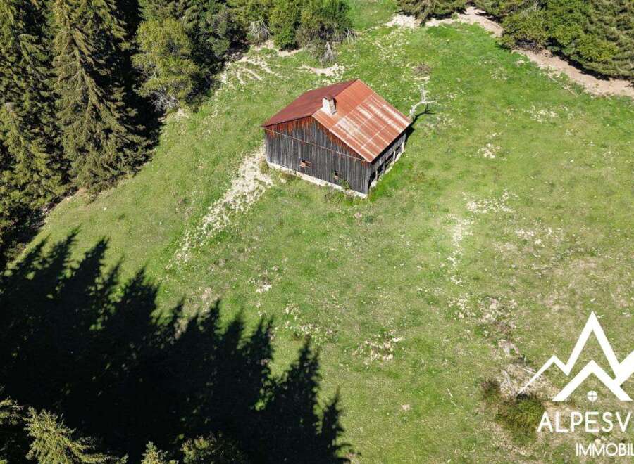 Discover this charming rustic cabin nestled in a serene mountain meadow, perfect for a peaceful retreat.
