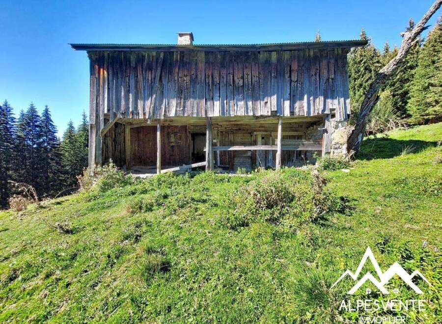Discover this charming rustic cabin nestled in the heart of the Alps, offering a unique opportunity for renovation and personalization.
