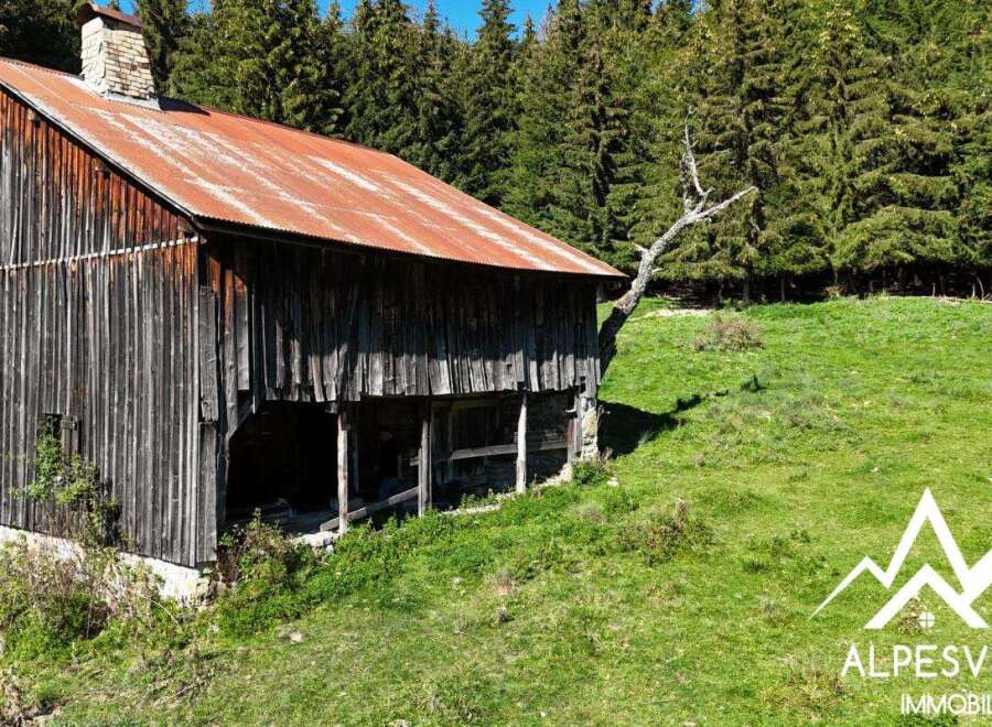 Discover this rustic wooden barn nestled amidst a lush green meadow and surrounded by a dense forest.