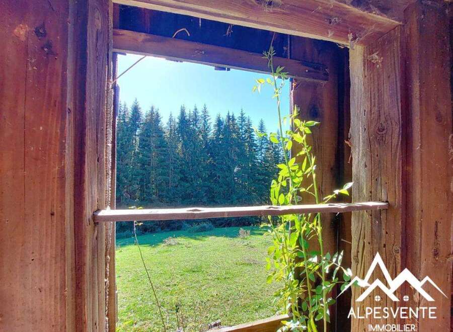 Discover this charming property with a breathtaking view of a lush green meadow and a dense forest.