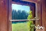 Discover this charming property with a breathtaking view of a lush green meadow and a dense forest.