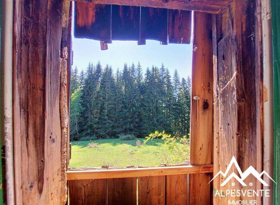 Experience the charm of mountain living with this rustic cabin, offering breathtaking views of a lush green meadow and dense pine forest.
