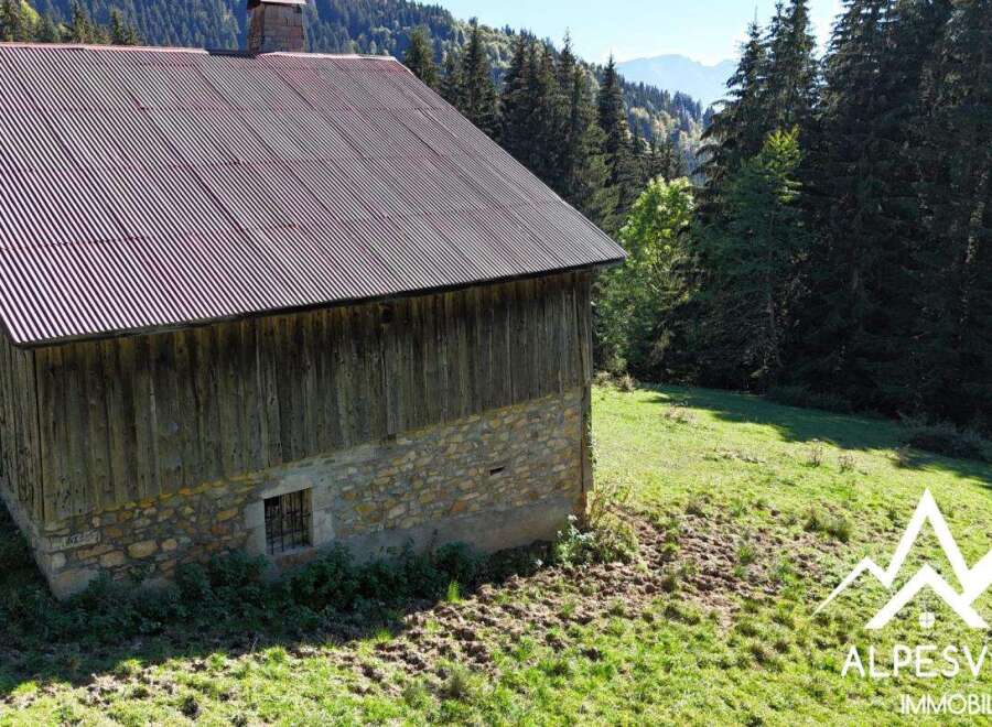 Discover this charming rustic property nestled in the heart of the mountains, offering a unique opportunity for renovation and personalization.