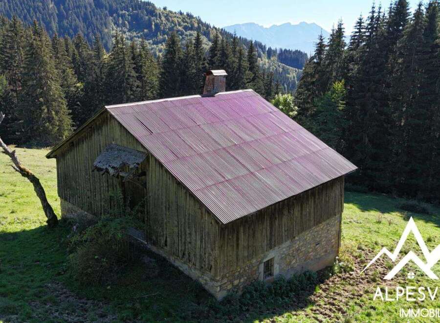 Discover this charming rustic property nestled in the heart of the mountains, surrounded by lush forests and rolling green hills.