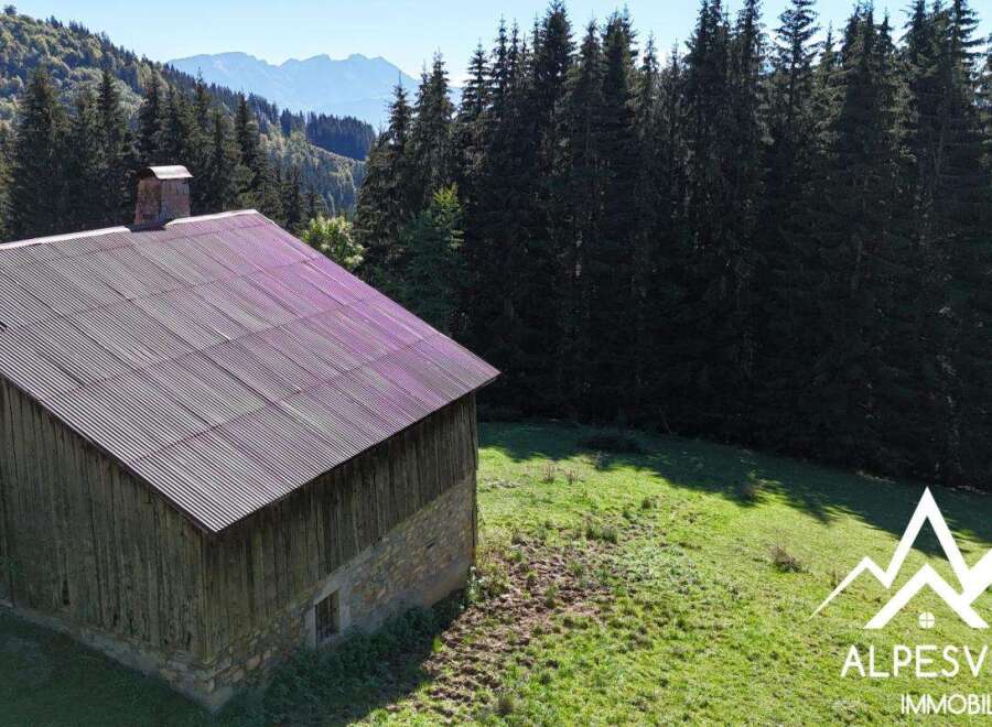 Discover this charming rustic barn nestled amidst the breathtaking scenery of the Alps.
