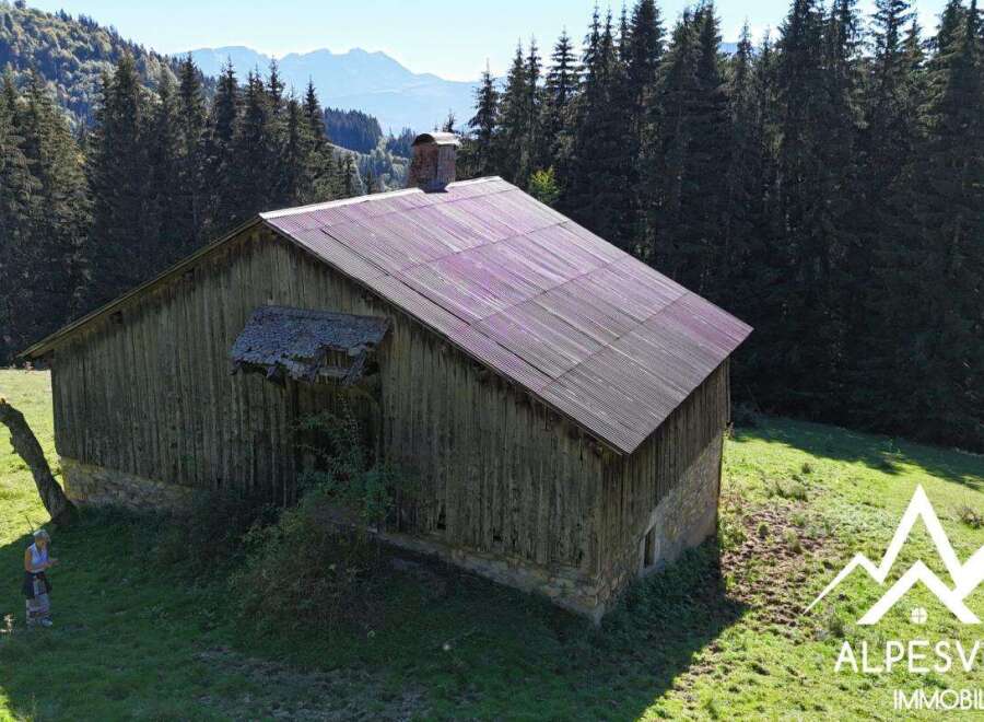 Discover this charming rustic barn nestled in a serene mountain landscape, perfect for renovation into a unique dwelling or retreat.